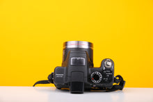 Load image into Gallery viewer, Panasonic LUMIX FZ38 Digicam
