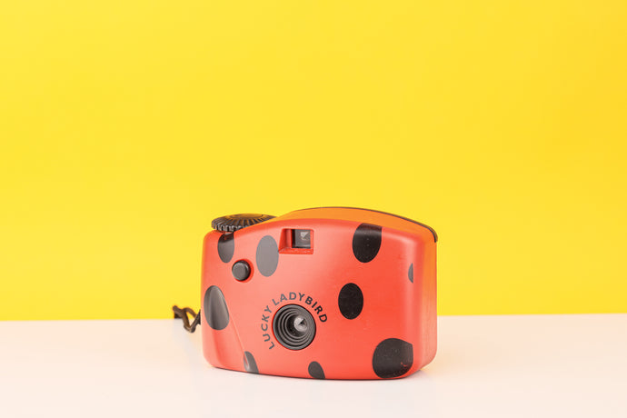 Kids Focus Free 35mm Film Camera Ladybird design