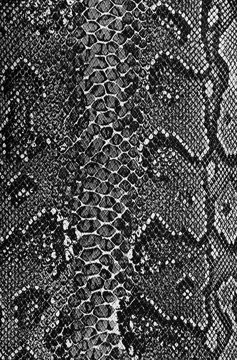 Olympus OM-1n Pre-cut Leather skin