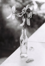 Load image into Gallery viewer, Kentmere 100 35mm Black And White Film
