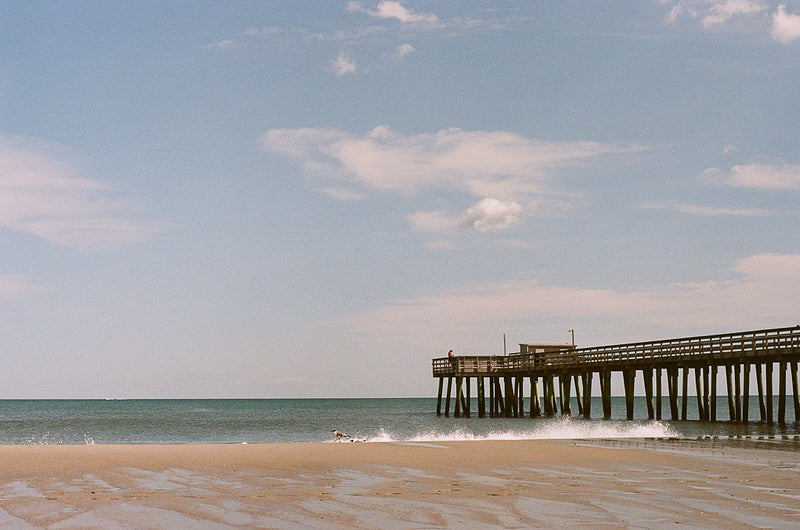 Kodak Professional Portra 160 35mm Colour Negative Film