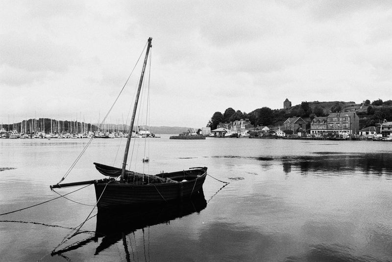 Fomapan 200 35mm Black and White Negative Film