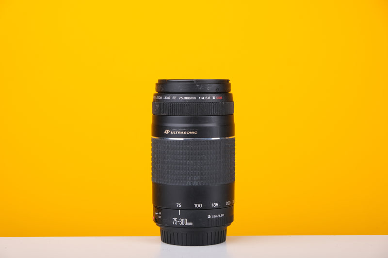 Canon Zoom Lens EF 75-300mm f4-5.6 III USM